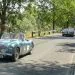 Best Mazda Rotary Models Diecast Auto World — Best Mazda Rotary Models Diecast Models by Auto World: South African Collect...