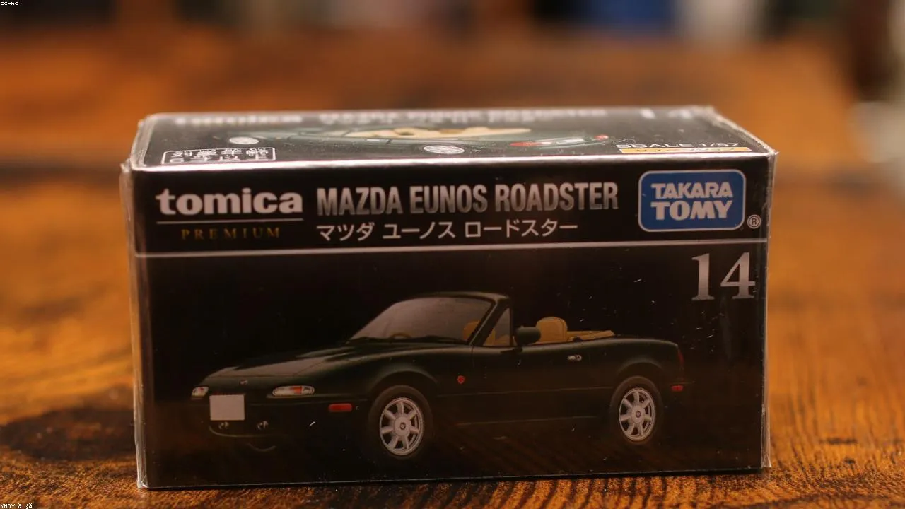 Best Race Cars Diecast Models by Tomica: South African Collector's Guide 1 Best Race Cars Diecast Models by Tomica: South African Collector's Guide - diecast model South Africa