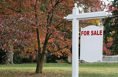 Estate Sale Season: Spring 2026 Preview 14 Estate Sale Season: Spring 2026 Preview