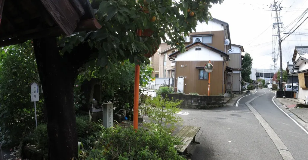 Kaido House 2027 Teasers