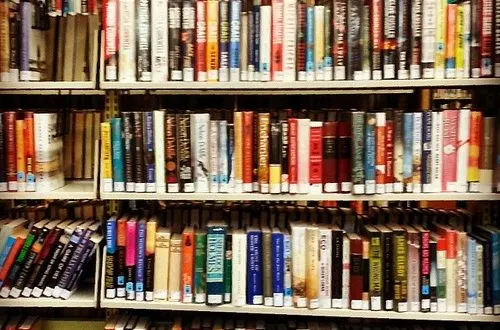 The Instagram Shelves of SA