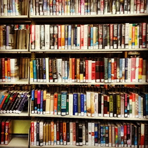 The Instagram Shelves of SA